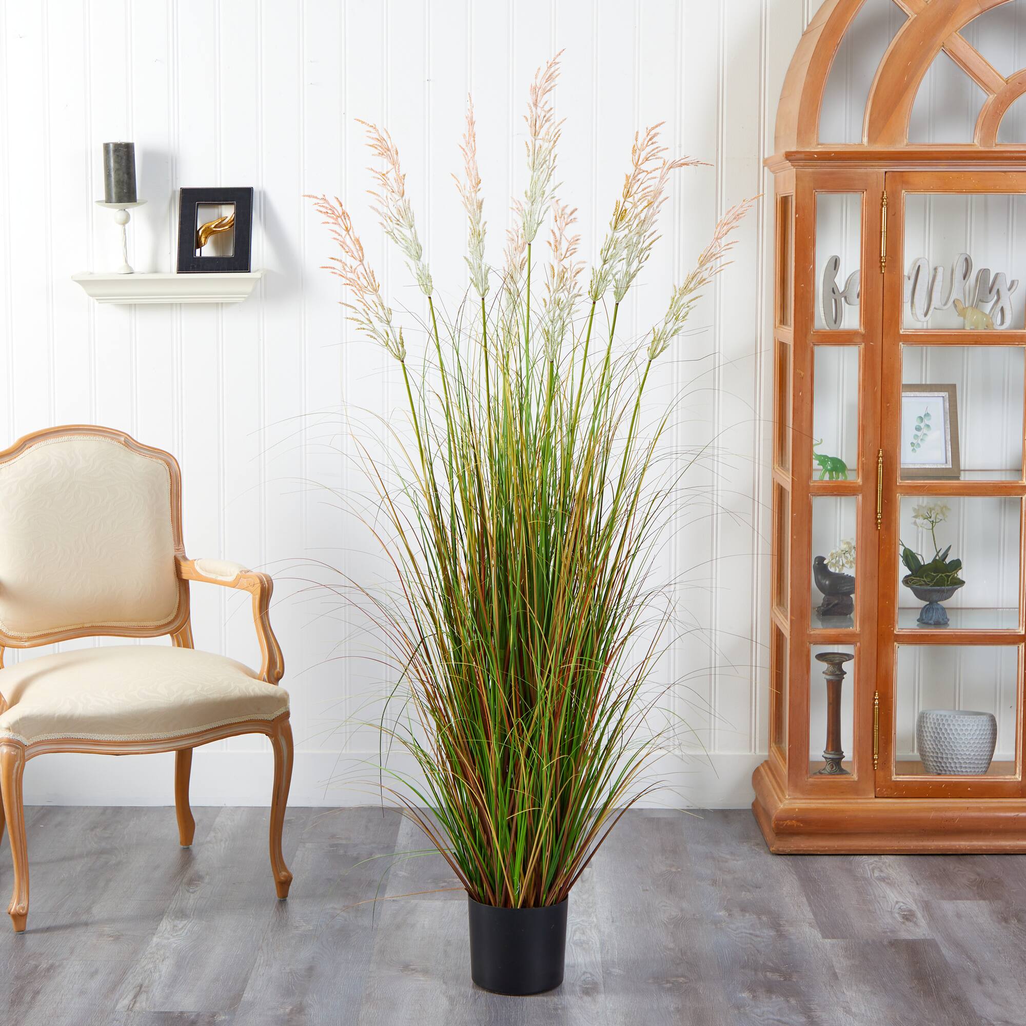5.5ft. Potted Plume Grass